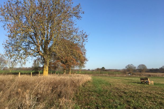 Frost Folly Park