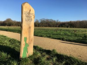 Leaping Hare route at Bramshot Farm