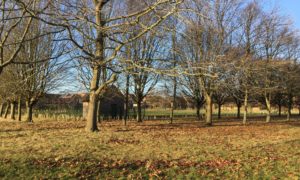 Hazebrouck Meadows