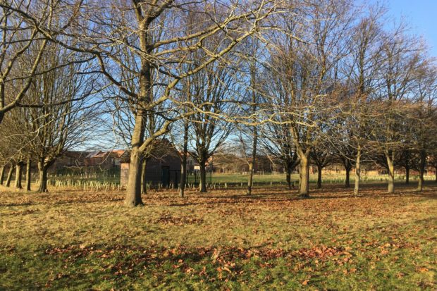 Hazebrouck Meadows