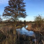 Wintery photo of the River Whitewater