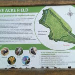 Five Acre Field