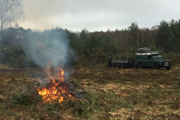 Scrub clearance at Velmead Common by Warden Jo