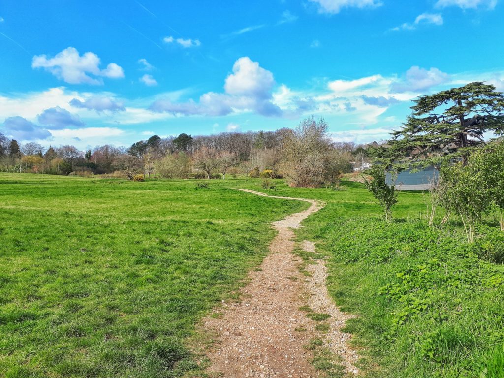 Earlswood Park Thames Basin Heaths