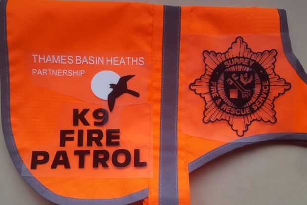 Mock-up of jacket for the K9 Fire Patrol