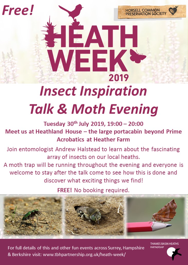 Insects, Free Full-Text