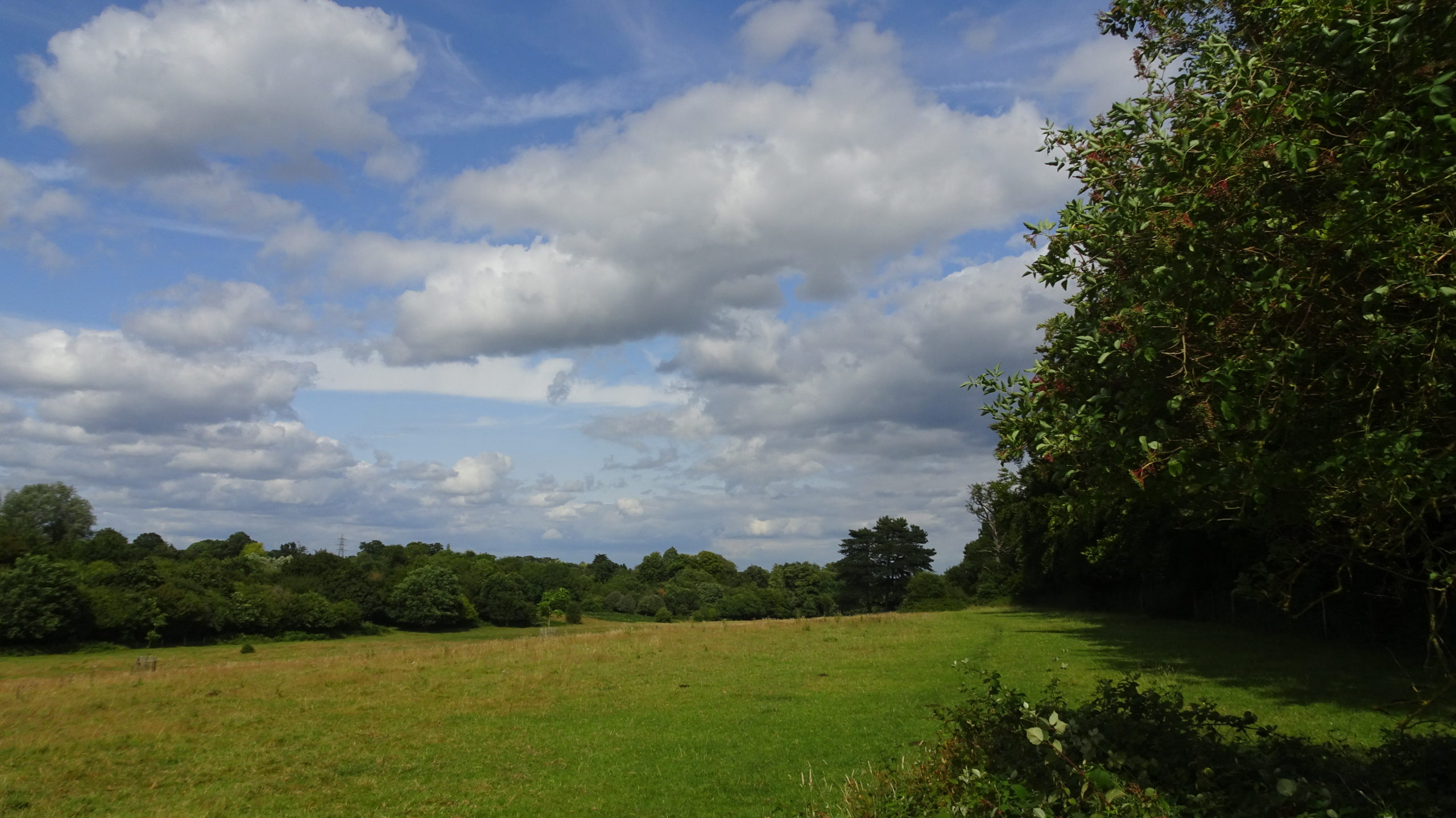 Farnham Park Thames Basin Heaths