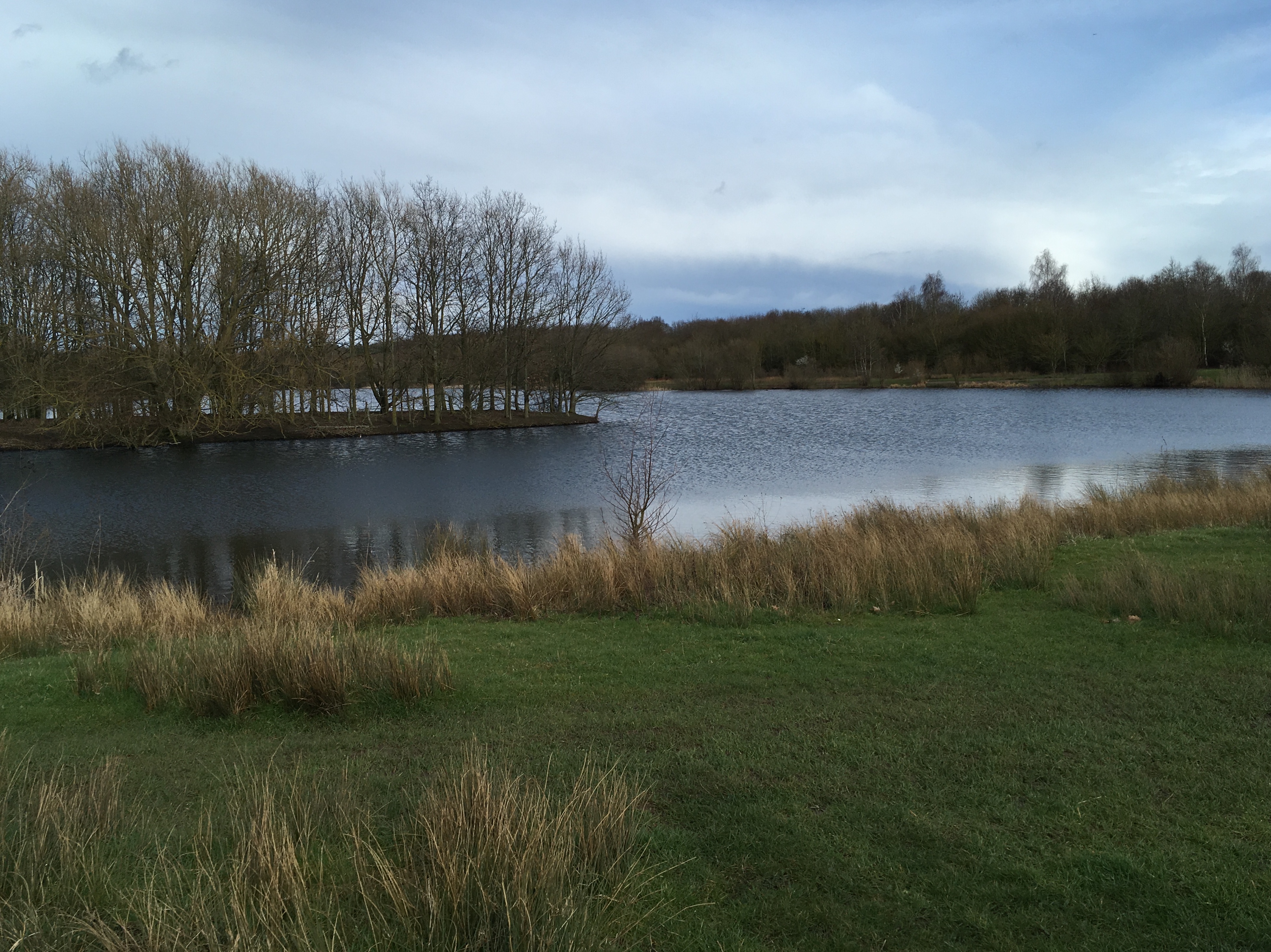 Riverside Nature Reserve - Thames Basin Heaths