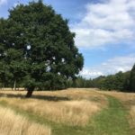 Southwood Country Park