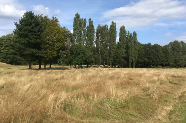 Southwood Country Park