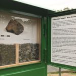 Mini-museum at Buckler's Forest with archaeological samples