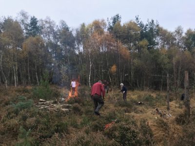 Wildmoor Volunteers