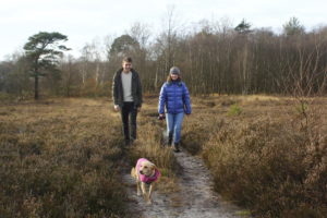 Responsible visitors to the Thames Basin Heaths Special Protection Area