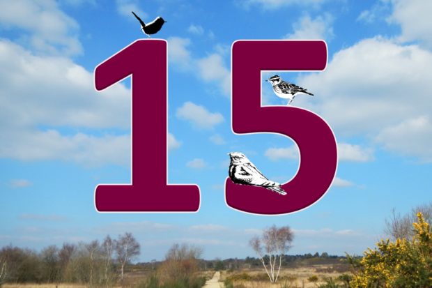 Celebrating 15 years of the Thames Basin Heaths Special Protection Area