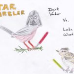 Star Warbler cartoon by Michael. Dart Vader versus Luke Woodlarker!