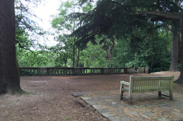 Photograph of a bench to relax on in the woodlands of St Ann’s Hill