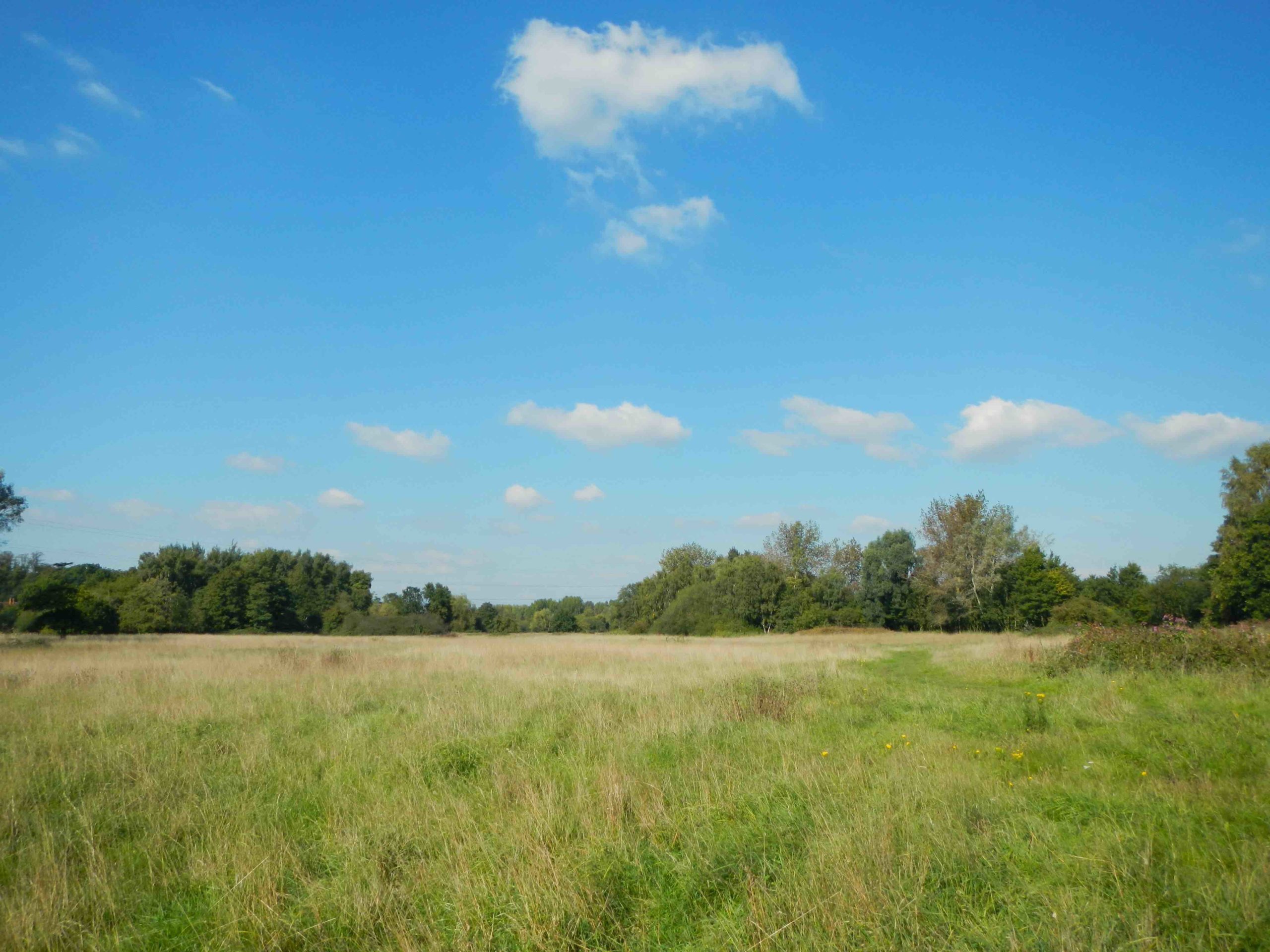 Hawley Meadows & Blackwater Park Thames Basin Heaths