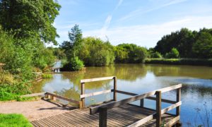 Lakeside Nature Reserve