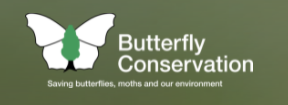 Link to Butterfly Conservation website