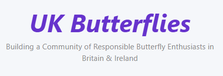 Link to UK Butterflies website