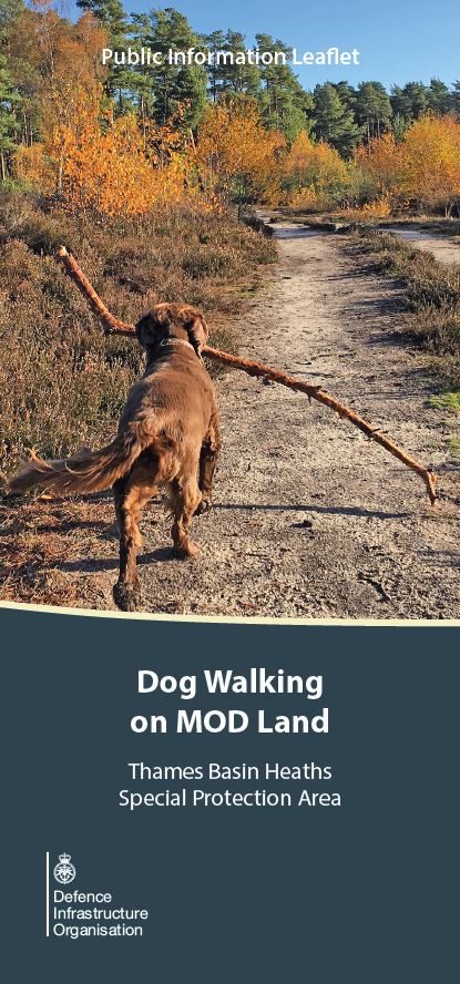 A leaflet about walking dogs on MOD Land.