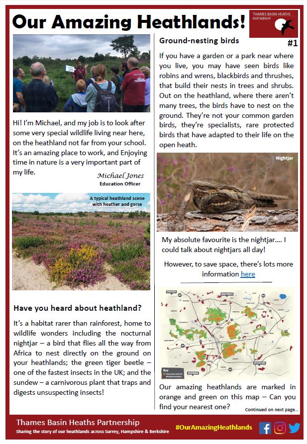 Our Amazing Heathlands newsletter.