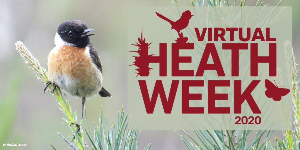 Virtual Heath Week 2020