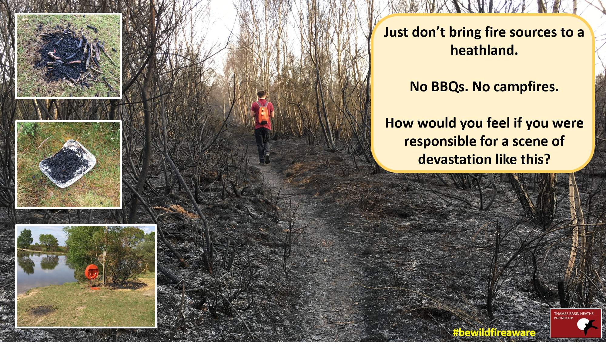 Wildfires are usually caused by carelessness - Don't bring fires to the heath