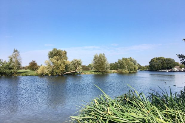 View of the River Thames from Chertsey Meads