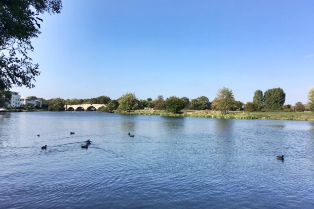 View of Chertsey Bridge and the River Thames from Chertsey Meads