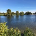 View of the River Thames from Chertsey Meads