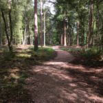Photograph of winding path at Hartland Country Park