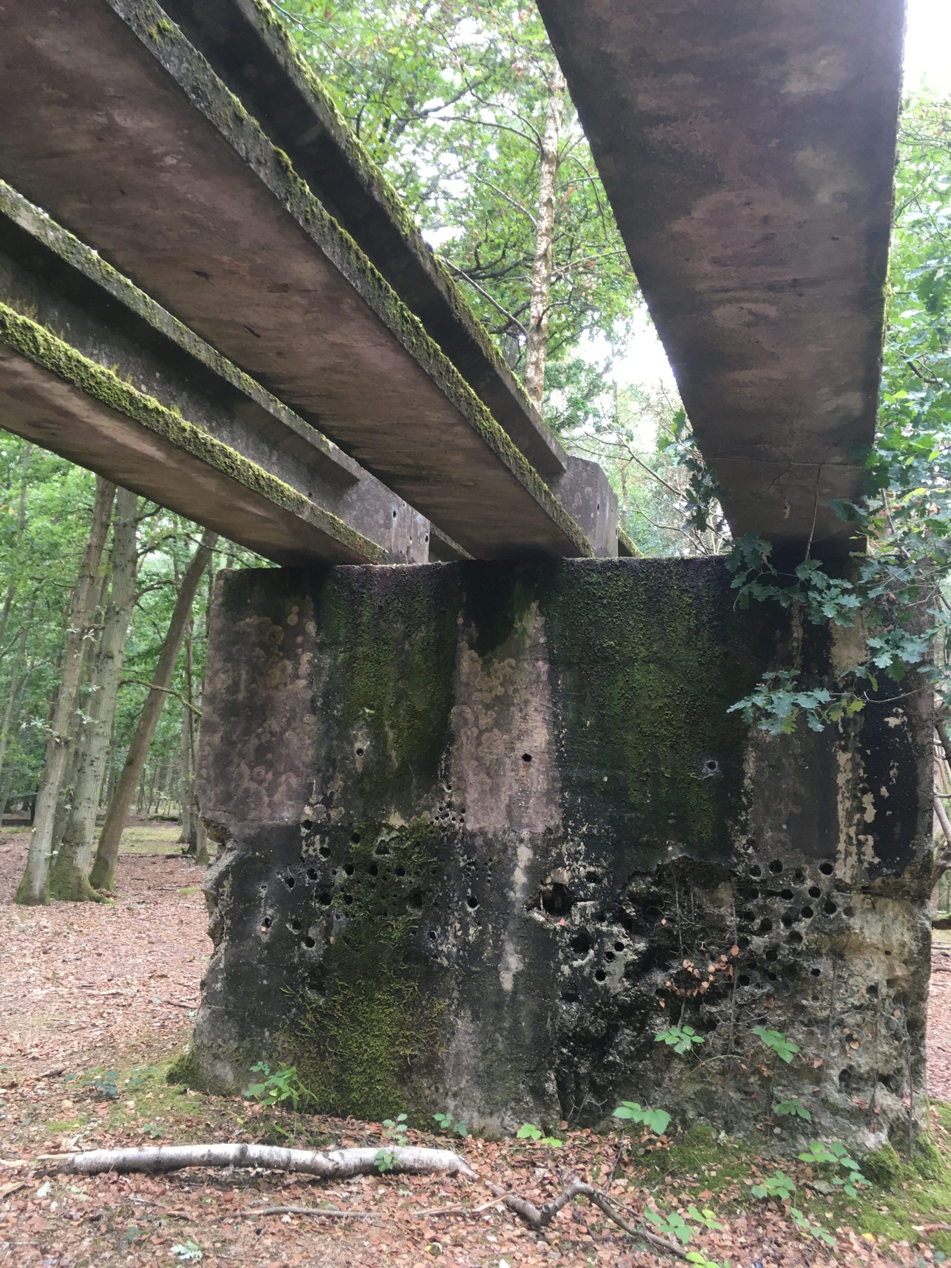 Hartland Country Park Thames Basin Heaths