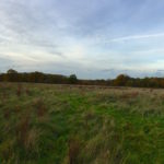 Large meadow to explore at Ash Green Meadows