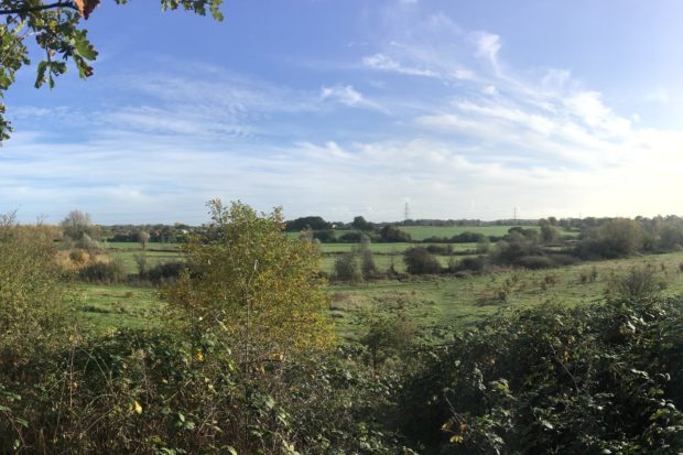 View from the knoll at Bassetts Mead Country Park