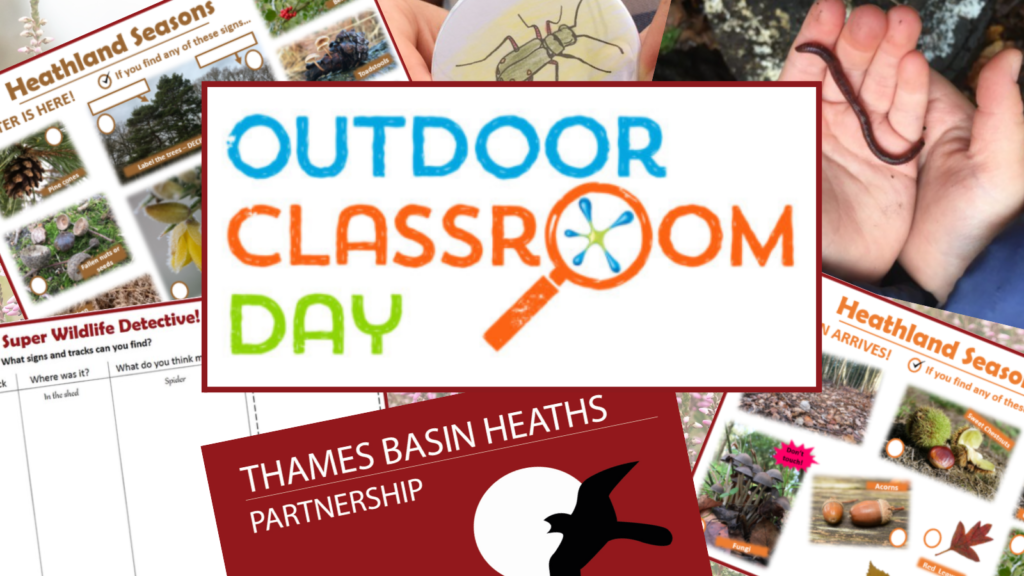 Outdoor Classroom Day Logo