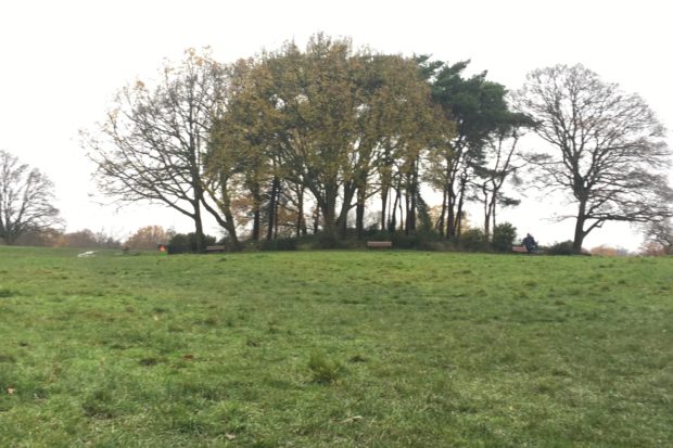 Photograph of Boadicea's tumulus