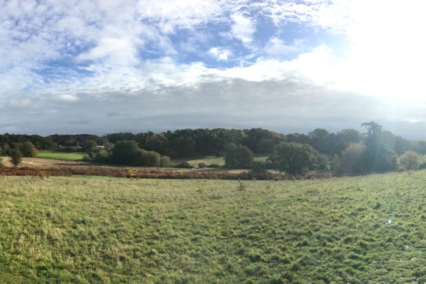 Beautiful view across the meadows