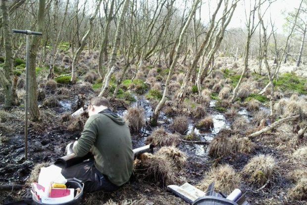 Photograph of Core sampling at Langshot Bog