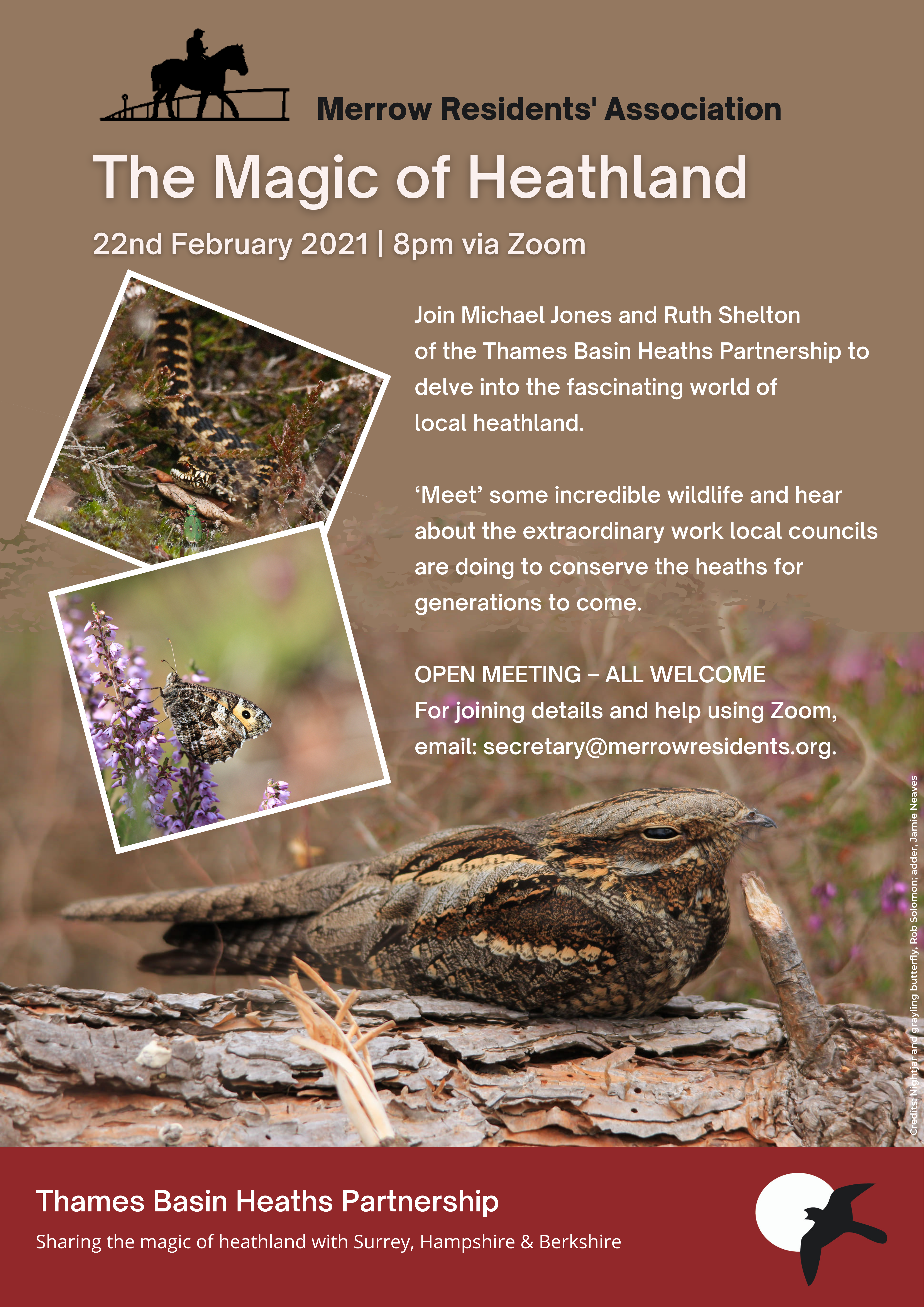 The Magic of Heathland 22nd February 2021 8pm via Zoom, email secretary@merrowresidents.org