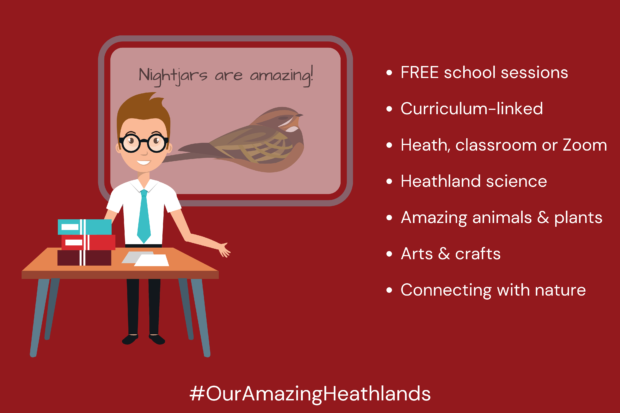 FREE school sessions illustration #OurAmazingHeathlands