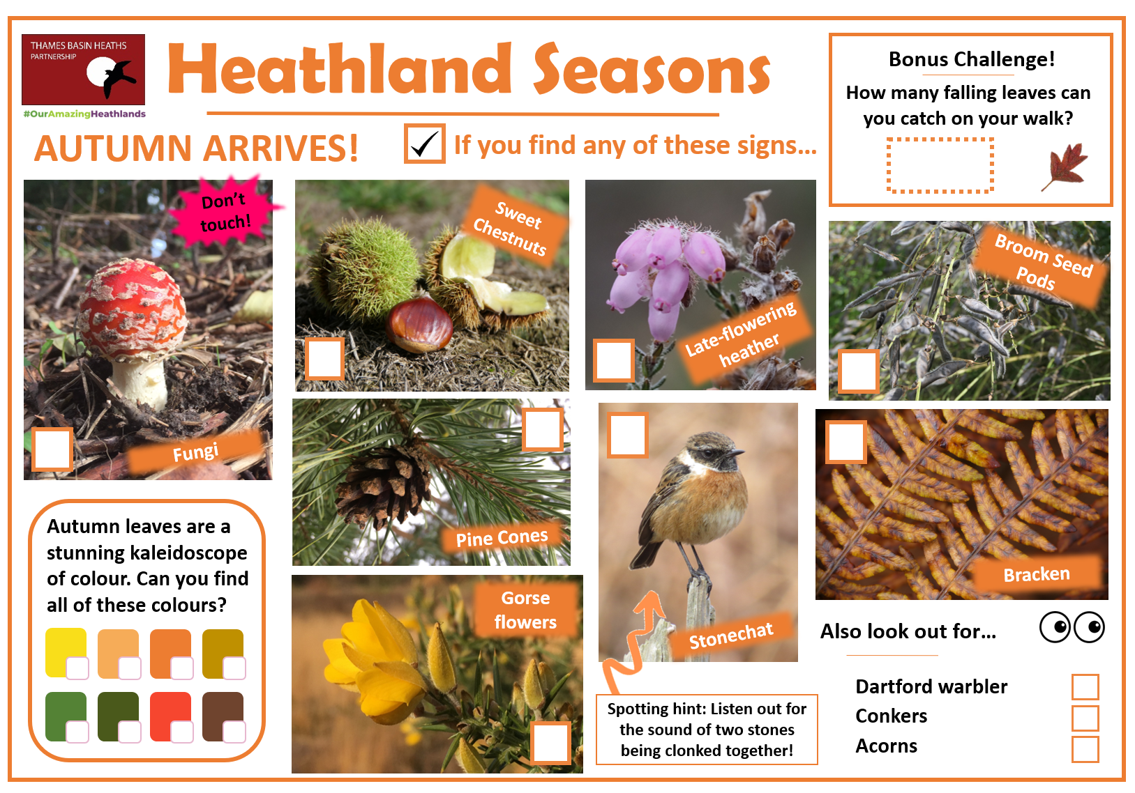 Click to download a heathland spotter sheet!