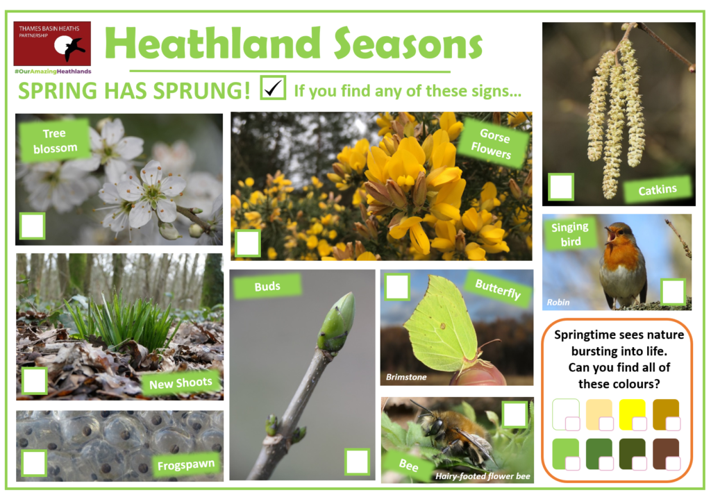 Downloadable spring spotter sheet