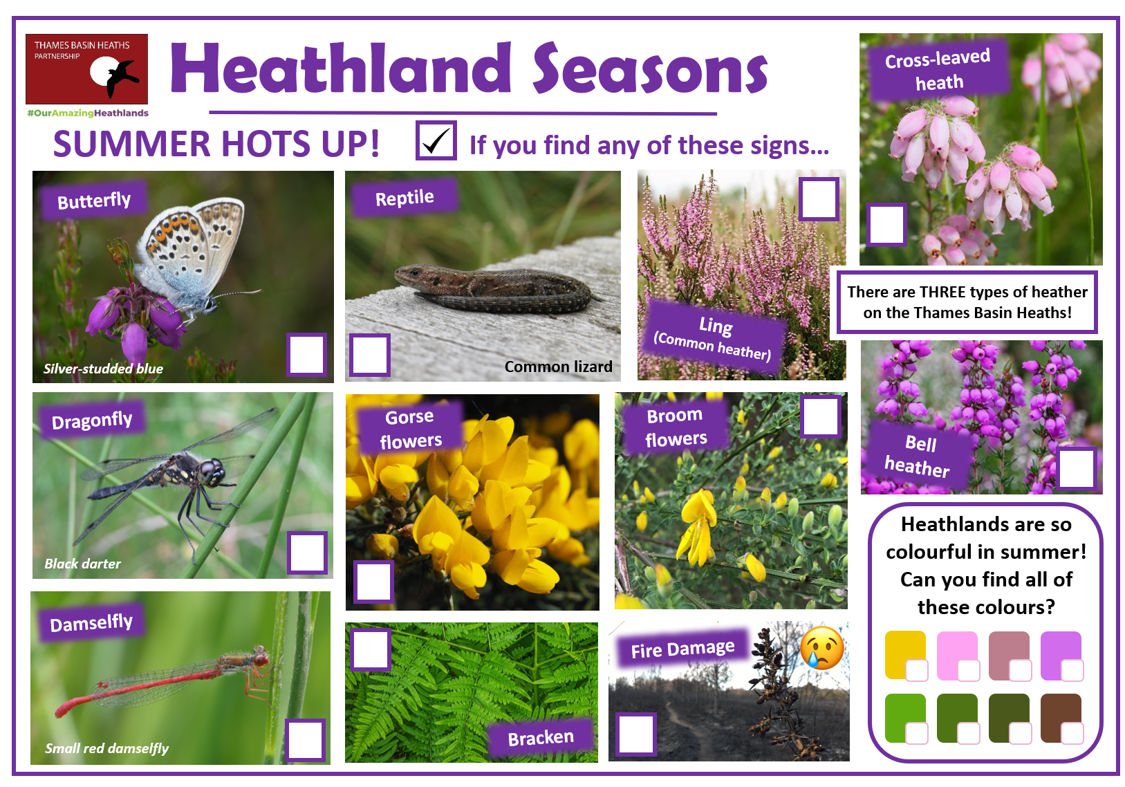 Click to download a heathland spotter sheet!