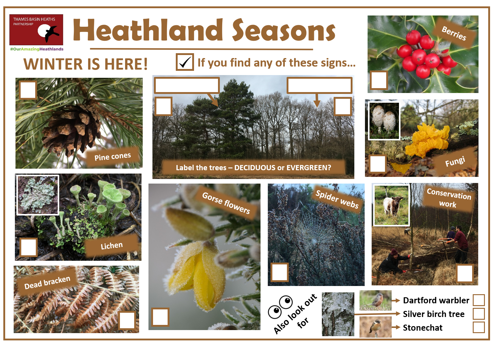 Click to download a heathland spotter sheet!