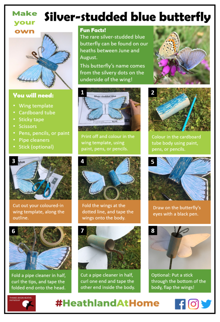 Click to download the butterfly craft sheet