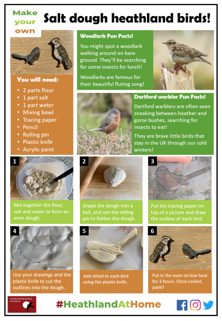 Click to download the salt dough birds activity sheet