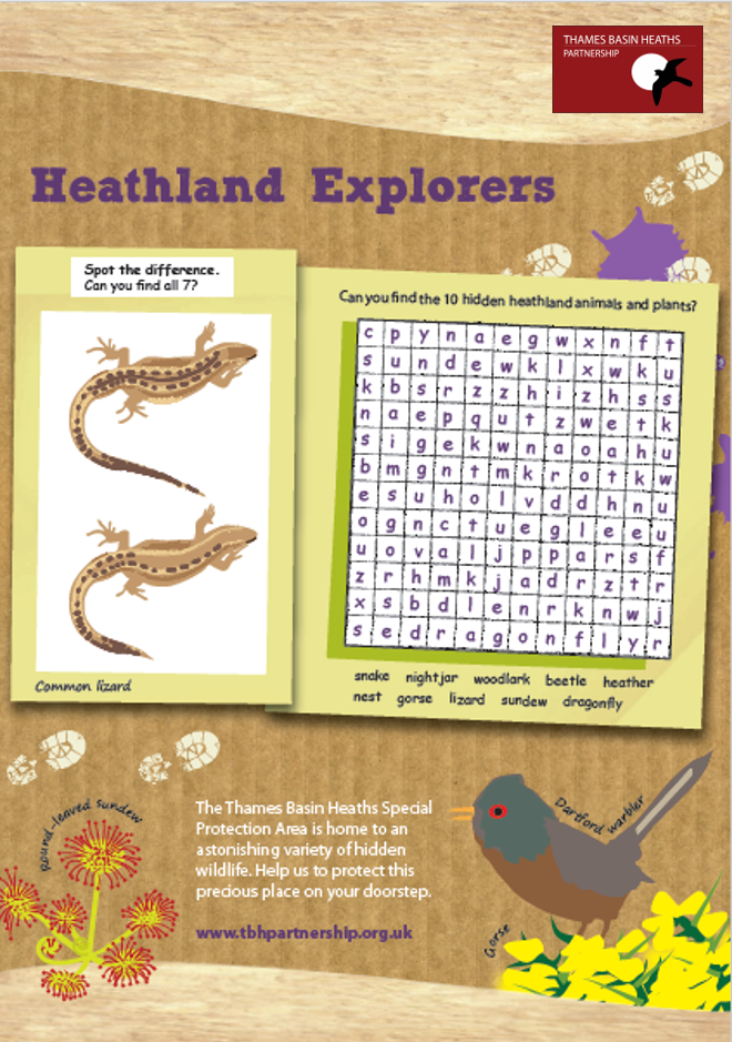 Click to download the heathland explorers activity sheet