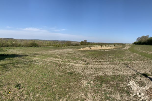 Photograph of greenspace at Runfold Ridge, showing green meadows