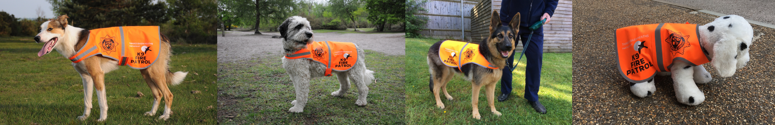 Banner with photographs of dogs in K9 Fire Patrol jackets